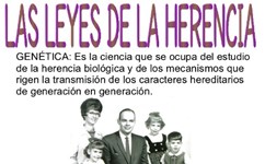 Leyes de la herencia